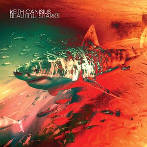 Beautiful Sharks (Alternate Version)