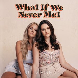 What If We Never Met