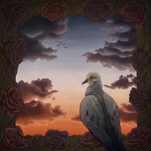 To The Mourning Dove