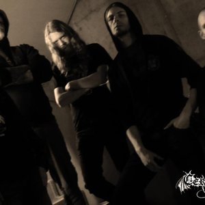 Avatar for Cerekloth