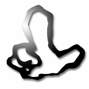 Avatar for LC66