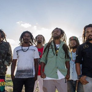 Avatar for Banda Reação