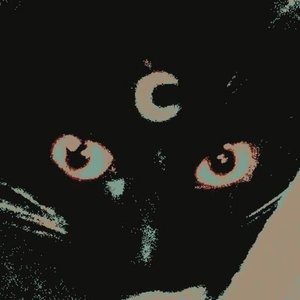 Avatar for Chloe In Limbo