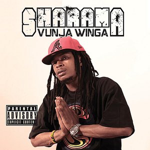 Image for 'Vunja Winga'