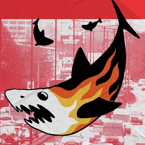 SHARK!