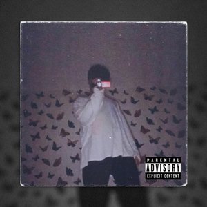 Really Wanna (feat. kkbutterfly27xx) - Single