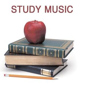 Изображение для 'Study Music Academy'