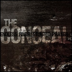 Endless River | Stunted Prayer