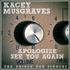 Apologize + See You Again (Acoustic)