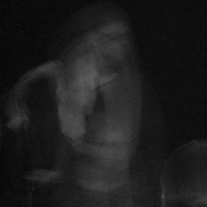 Avatar for No Collide
