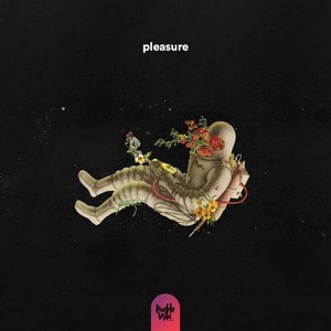 Pleasure - Single