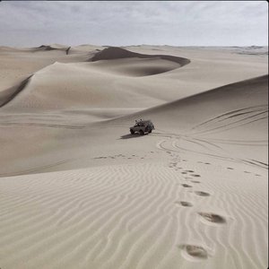Desert