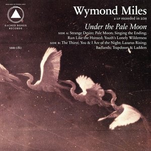 Under the Pale Moon