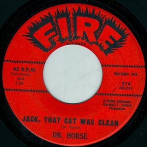Dr. Horse 的头像