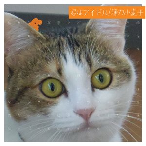 君はアイドル
