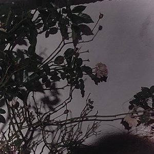 That One Stranger - Single