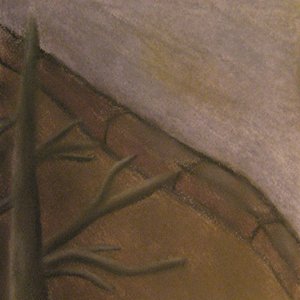 Primitive