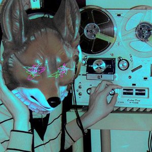 a tiny fox 的头像