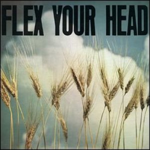 Flex Your Head