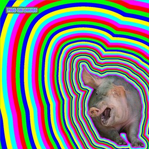 Image pour 'Pigs On Drugs'