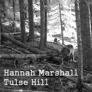 Tulse Hill