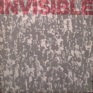 Invisible Zoo