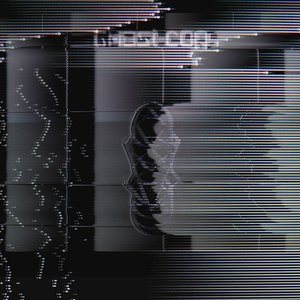 The Remixes