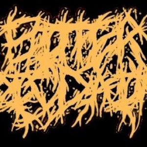 Bitter Disdain 的头像