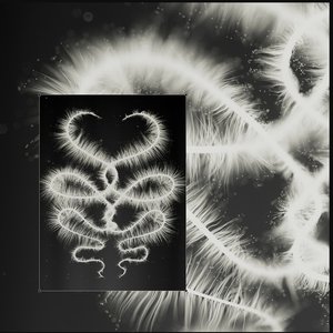 Flux Serpent