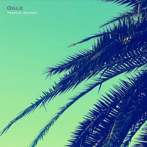 Tropical Entropy