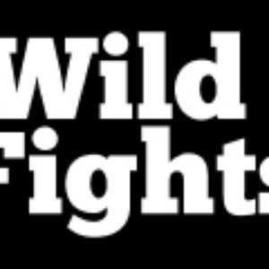 “wildfights”的封面