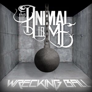 Wrecking Ball - Single