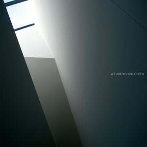 We Are Invisible Now 的头像