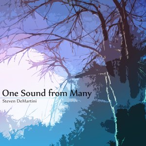 Image for 'One Sound from Many'