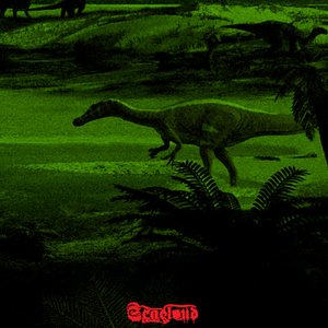Bog