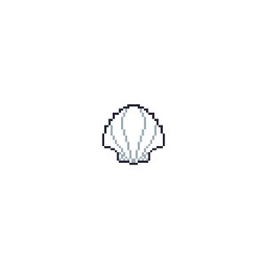 Seashells