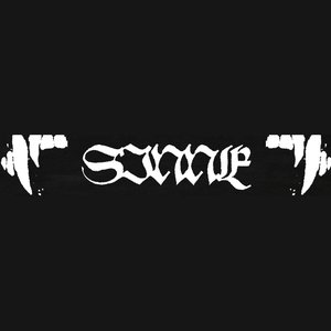 “sinne”的封面