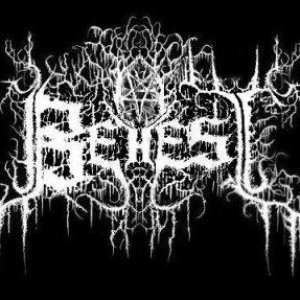 Behest 的头像