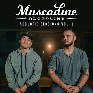 Acoustic Sessions Vol. 1