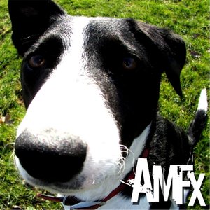 Amfx