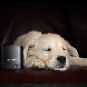 Pet Sound Therapy 的头像