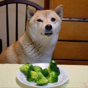 Uberdog 的头像