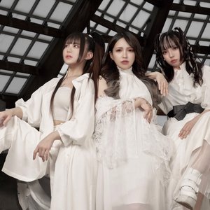 icontinew 的头像