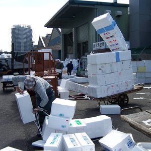 Japan / Jagdaqi
