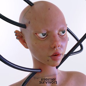 INTERNET SURVIVORS