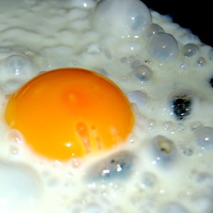 Egg Fry #2