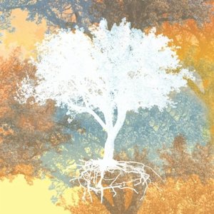 Empty Nest