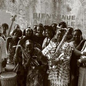 Image for 'Les Amazones de Guinée'