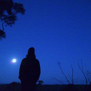 Dark Ambient Forest 的头像