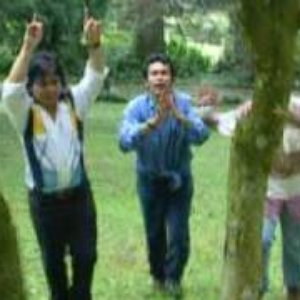 Ovall Trio 的头像